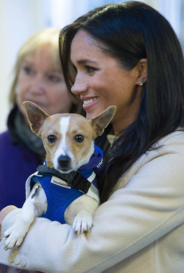 ميغان ماركل