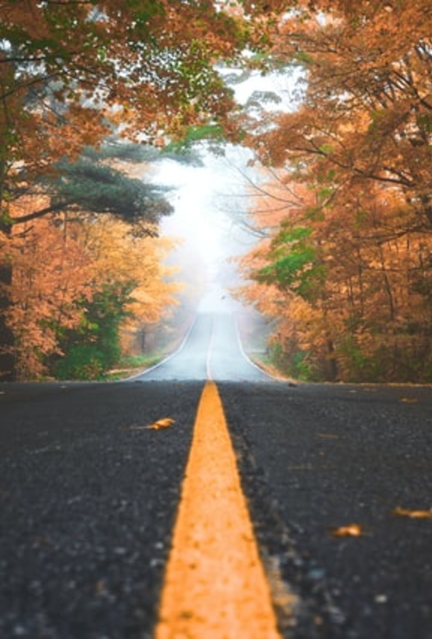 رحلة مثالية بالسيارة - Tim Trad