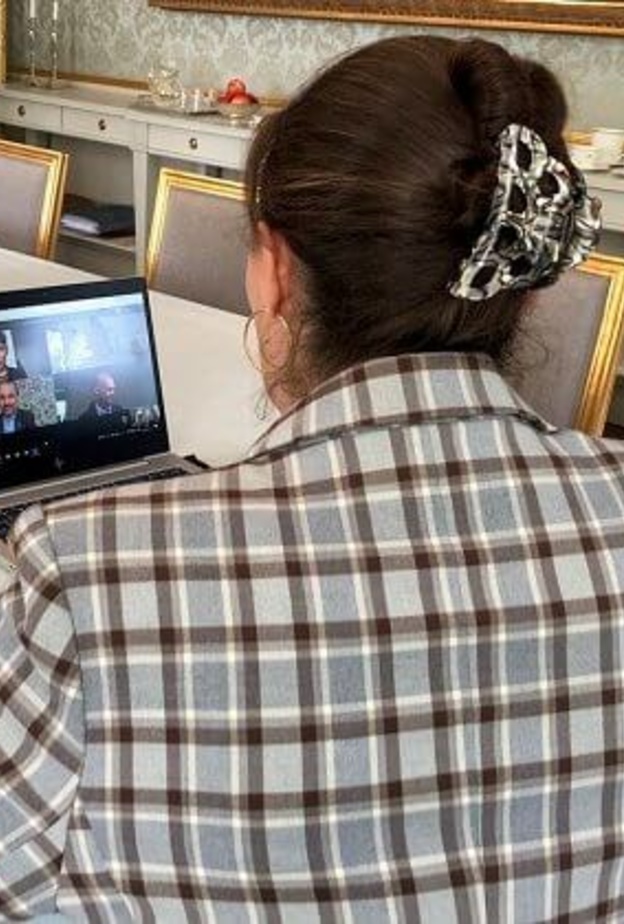 الأميرة فيكتوريا في اجتماع رقمي مع ممثلي وكالة الابتكار السويدية