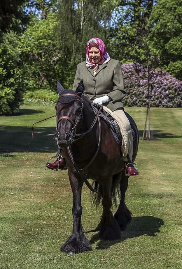  نسّقت الملكة الجاكيت مع السروال المخصص لهذه الرياضة كما غطّت رأسها بوشاح ملوّن