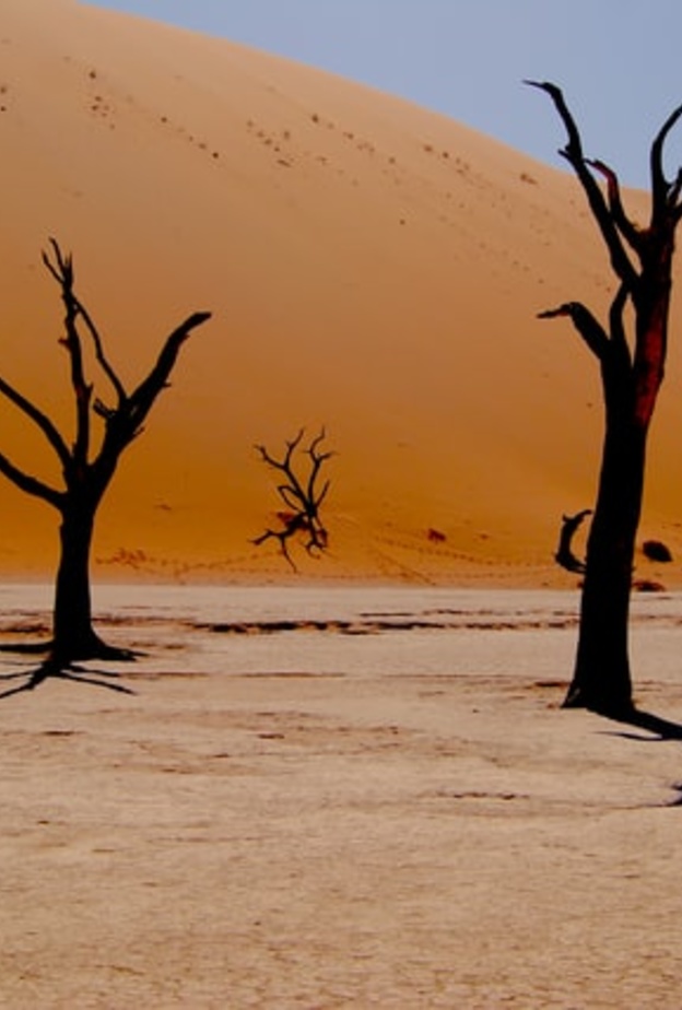  مشهد من منتزهات ناميبيا - Marcelo Novais