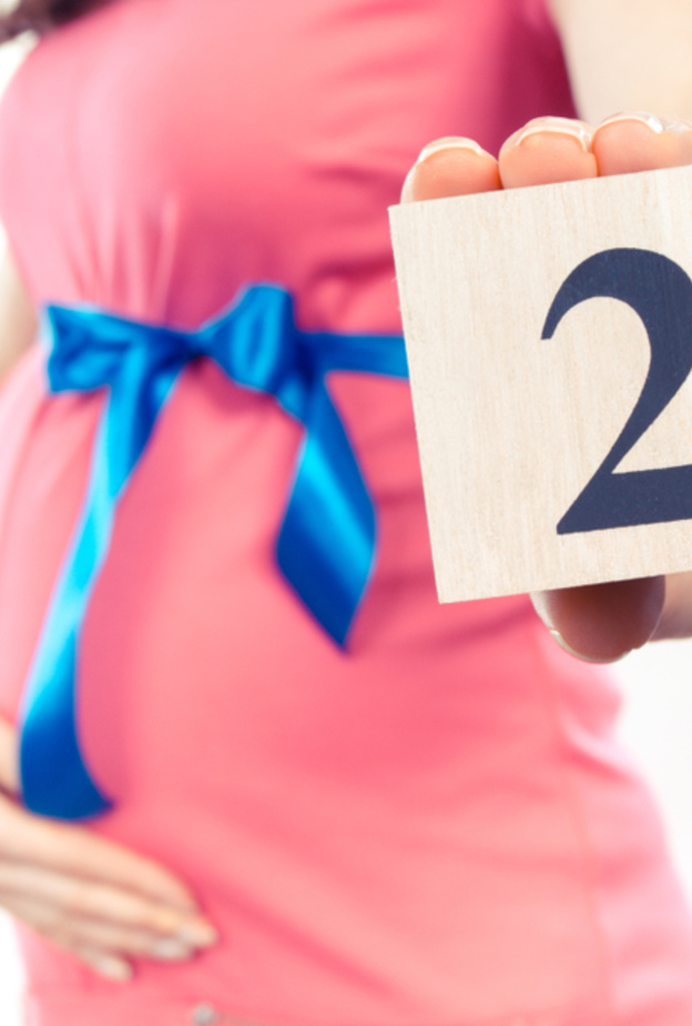 كيف يكون شكل الجنين في الشهر الثاني