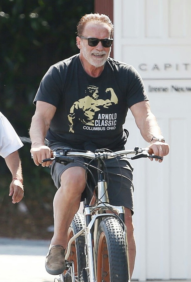 أرنولد شوارزينجر 