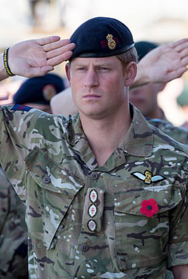 الأمير هاري يدعم خطط افتتاح متحف بطولات قوات المارينز الملكية