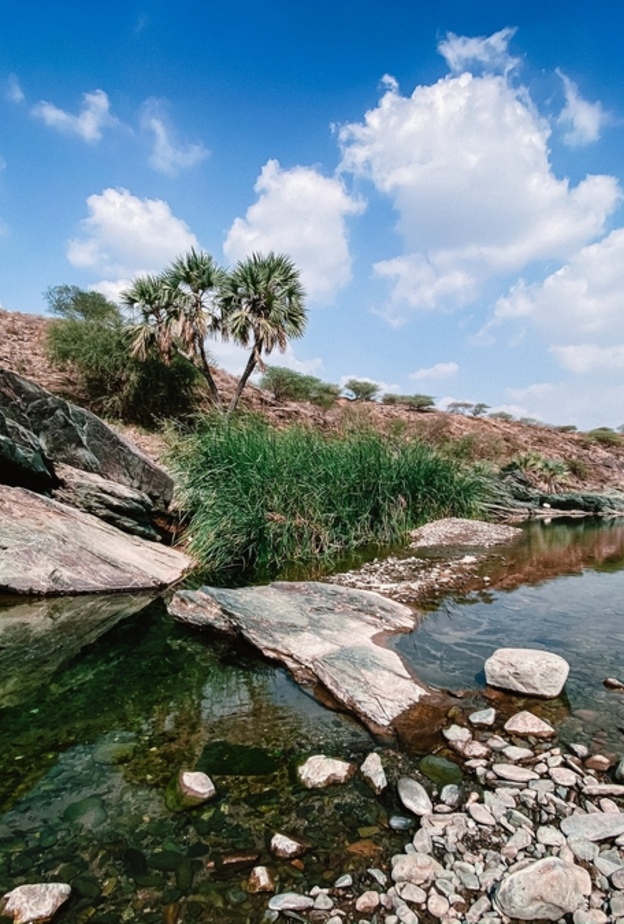  بواسطة Rashid Khawaji