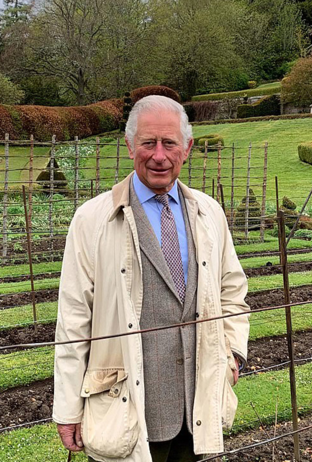 الأمير تشارلز أظهر أنه مستعد للإمساك بمقاليد الأمور