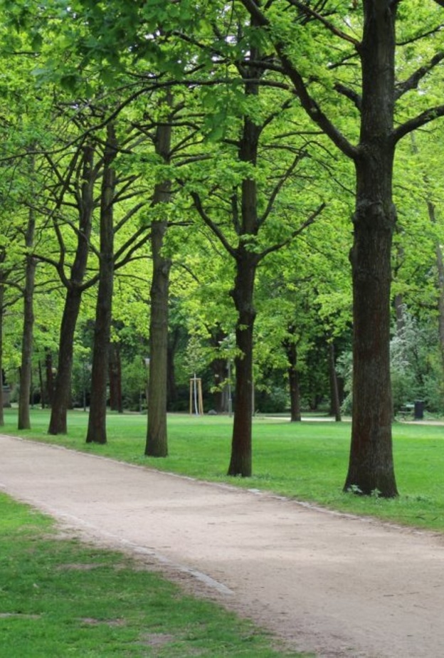  منتزه أبشيرون الوطني Absheron National Park بواسطة Rafał Rudol