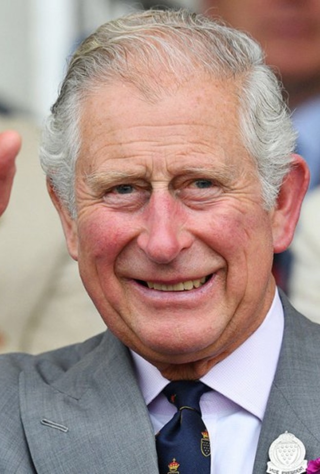 الأمير تشارلز يحصل على لقب ملك الإنستغرام