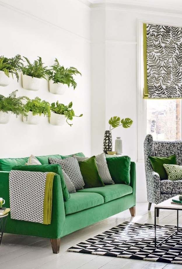  أحواض نباتات تعطي ديكور غرفة المعيشة طابع ريفي