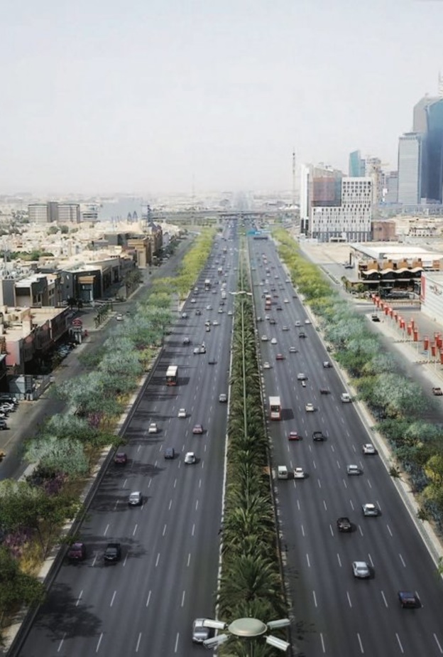  من مشروع الرياض الخضراء