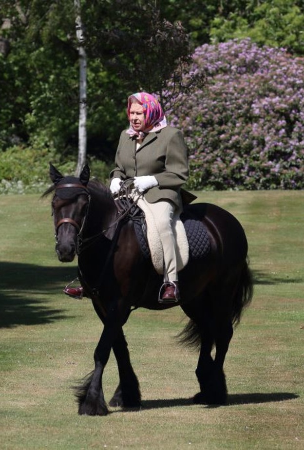 تعرفوا على أحصنة الملكة إليزابيث الثانية المفضلة لديها