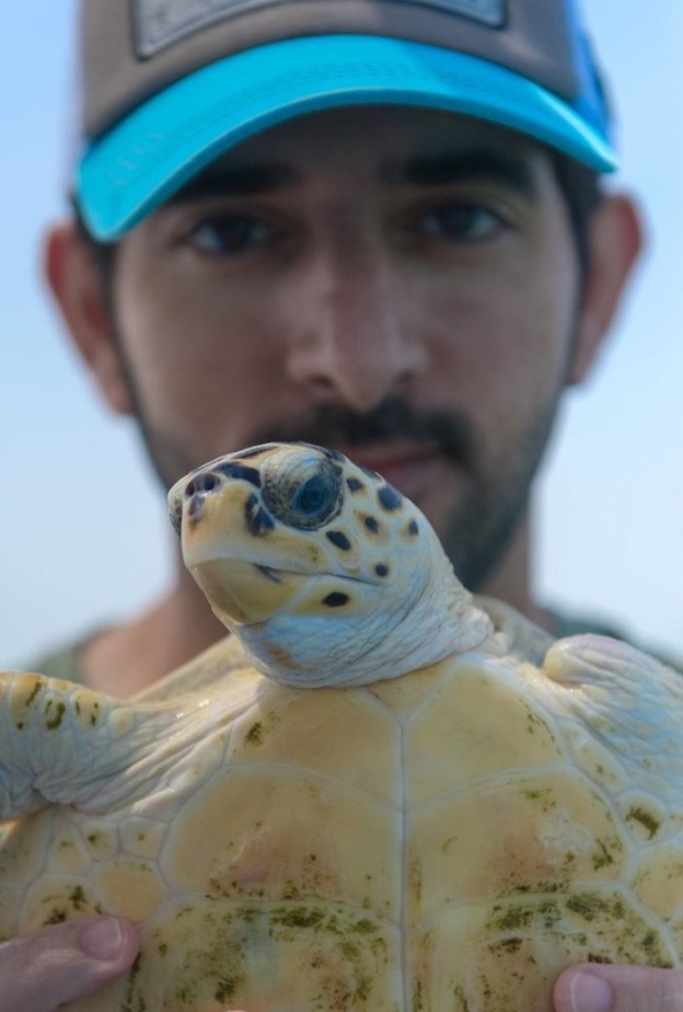 فزاع يحتفي بالسلاحف البحرية في يومها العالمي 