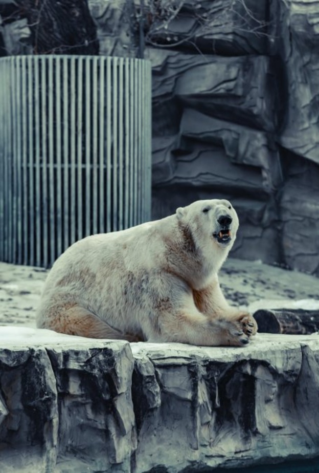  حديقة بيجينغ - allen lee