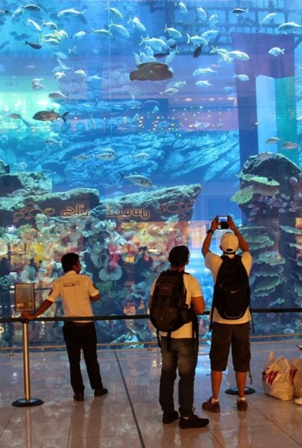  أكواريوم دبي بواسطة T3n60
