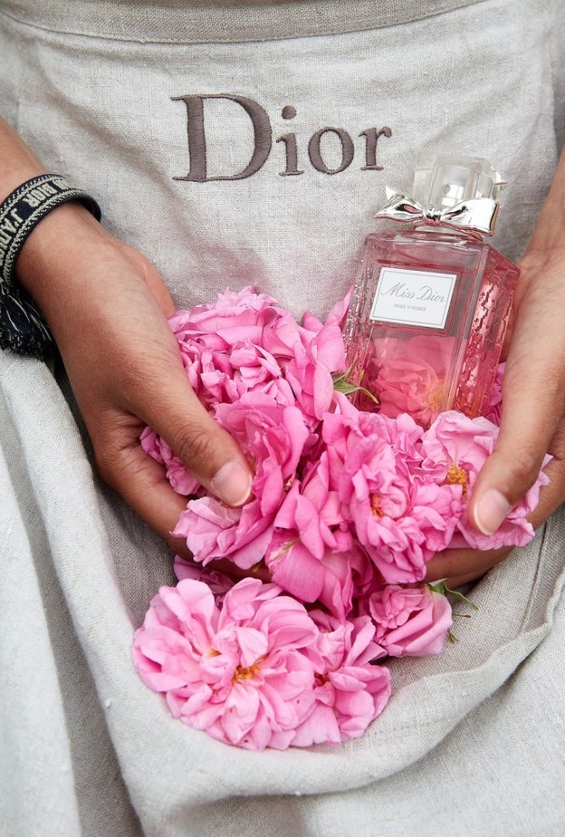 Miss_Dior_Apron
