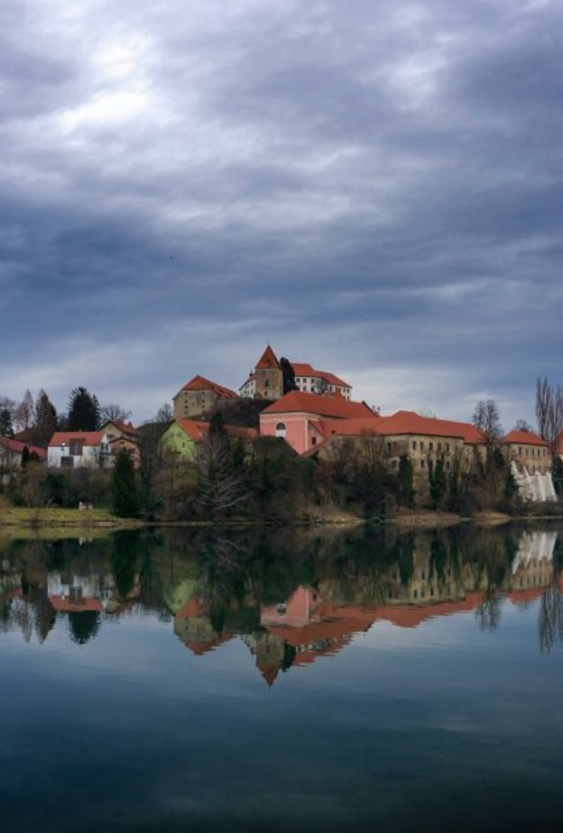  بلدة بتوج - brut carniollus