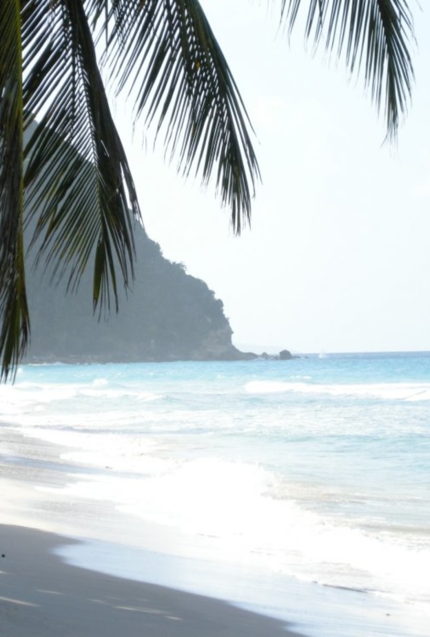  جزر العذراء البريطانية - Bob Commander