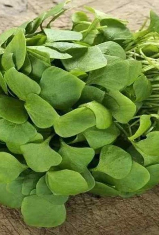 فوائد البقلة الصحية