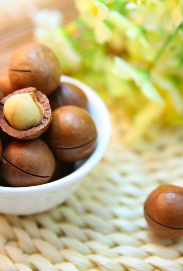  فوائد مكسرات المكاديميا الصحية