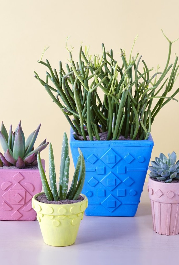 أحواض نباتات من الجبس الملون