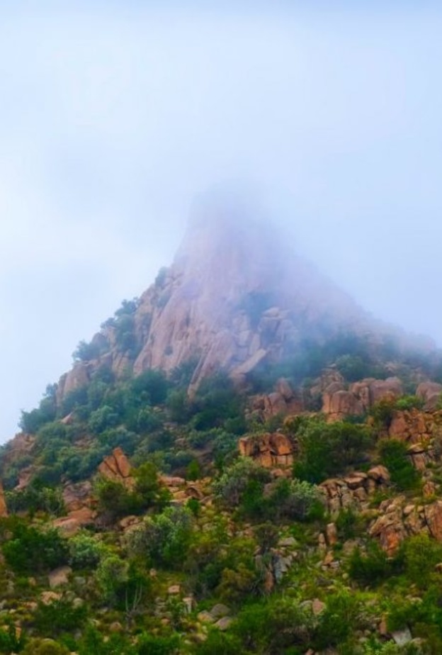 جبال الطائف الساحرة 