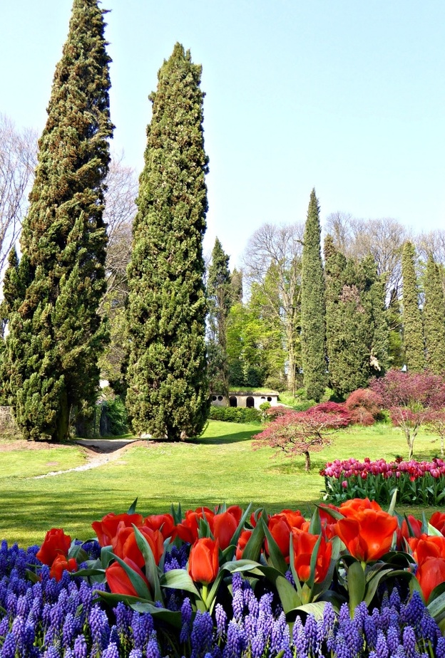 باركو جياردينو سيجورتا Parco Giardino Sigurtà، فينيتو بواسطة Alessio Lin