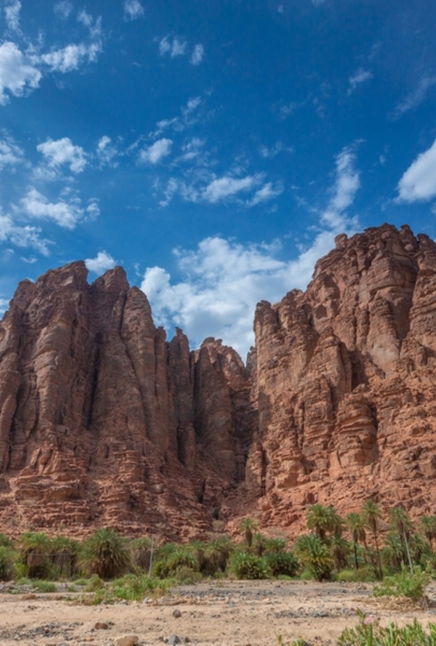 الصخور والطبيعة في صحراء تبوك