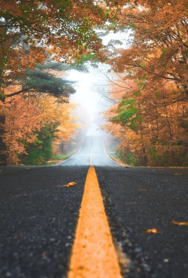 اتخذ الاجراءات كي تكون رحلتك بالسيارة ممتعة وآمنة - Patrick Tomasso