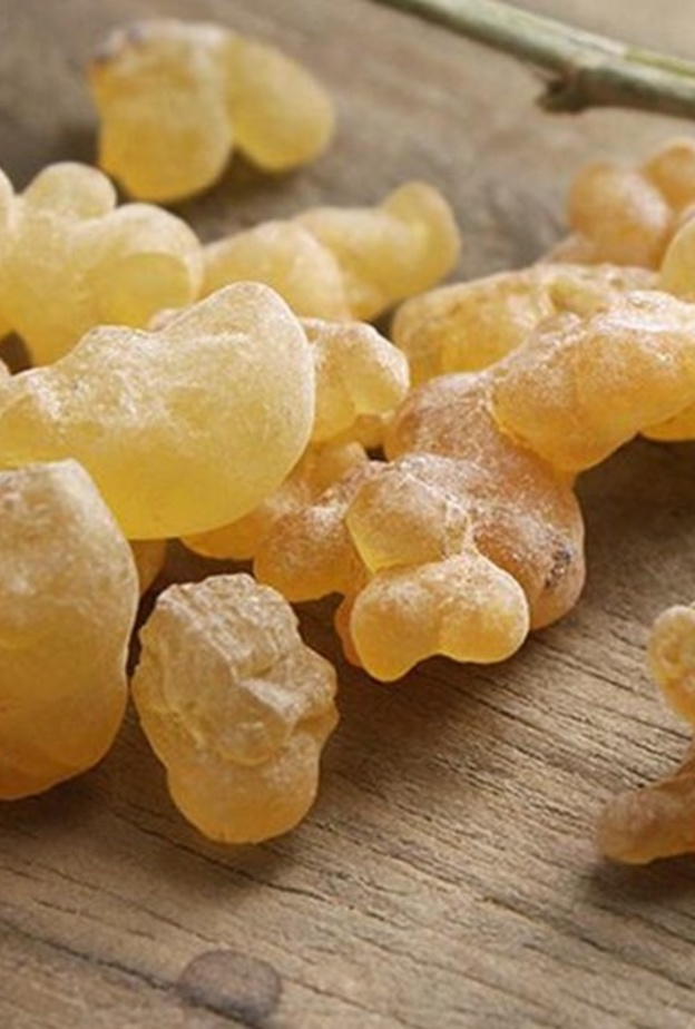 فوائد لبان الذكر الصحية