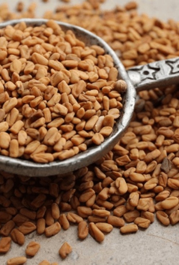  فوائد الحلبة للعظام والعضلات