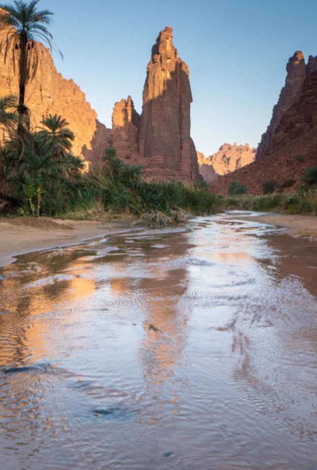 تنفس روح السعودية في  تبوك أرض الكنوز التاريخية