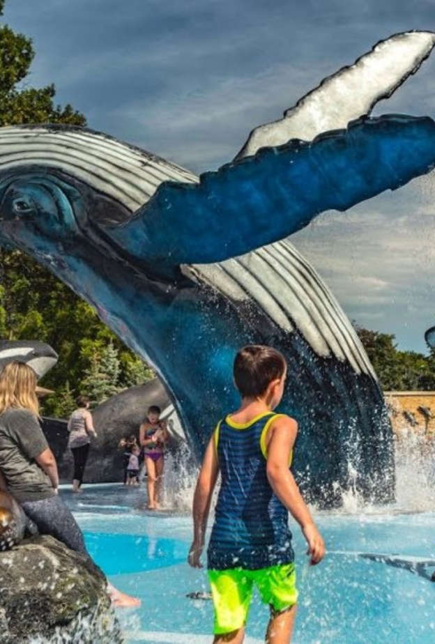 أكواريوم هنري دورلي Henry Doorly Zoo، أوماها، نبراسكا بواسطة Fletcher Pride