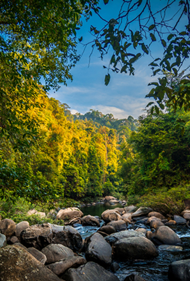 حديقة كوه سوك الوطنية Koh Sok National Park، تايلاند بواسطة Brienna Scott