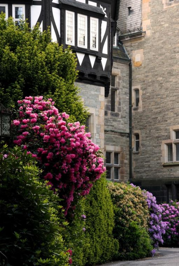 فنادق فاخرة في الطبيعة الخلابة ملاذكم في العطلة الصيفية