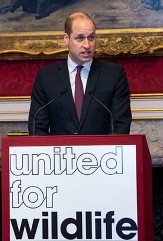 الأمير وليام