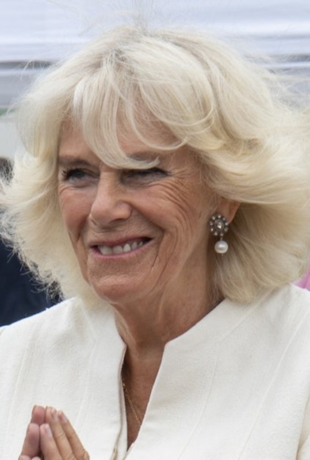 رسم كرتوني لدوقة كورنوال في عيد ميلادها