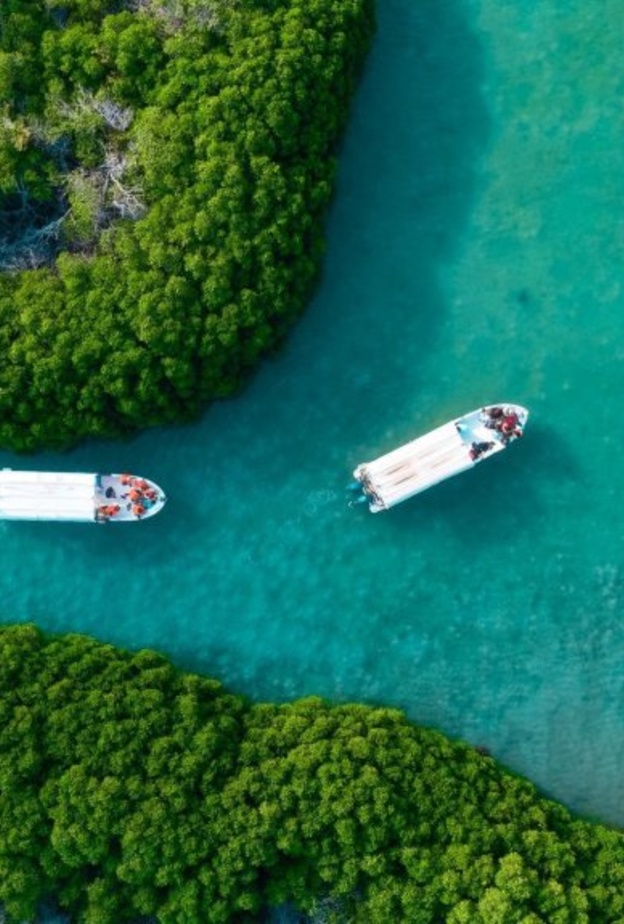 طبيعة خلابة في جزر فرسان - الصورة بواسطة المصور الفوتوغرافي خالد زاروق