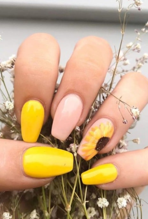 زهرة دوار الشمس أحدث صيحات صيف 2020