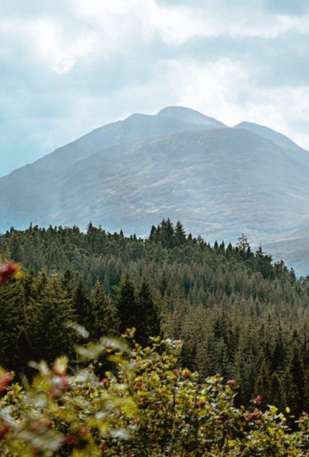 المرتفعات الاسكتلندية - Dan Smedley