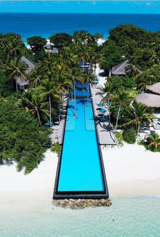  حوض السباحه الخاص بالمنتجع فيرمونت مالديفز