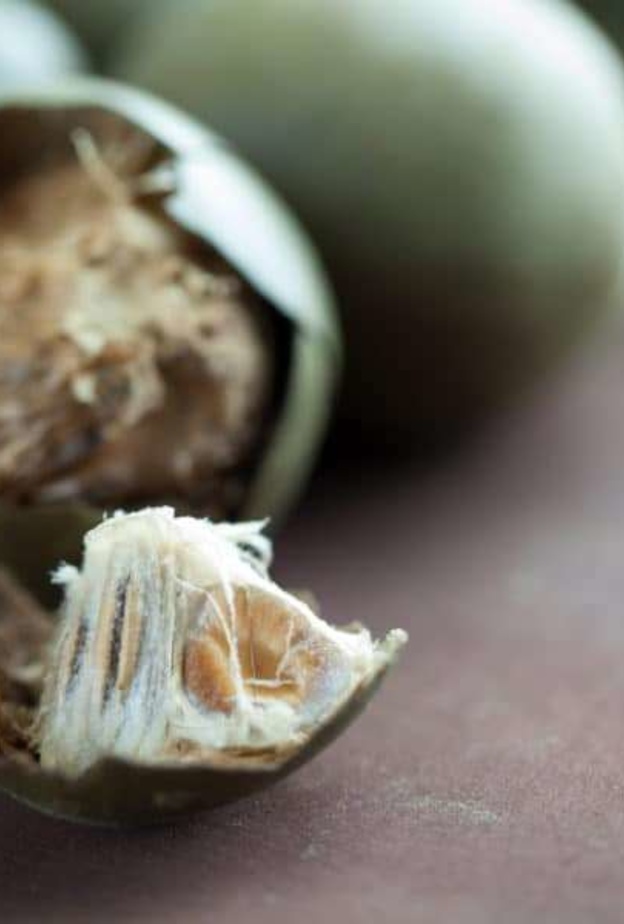  فوائد فاكهة الراهب الصحية