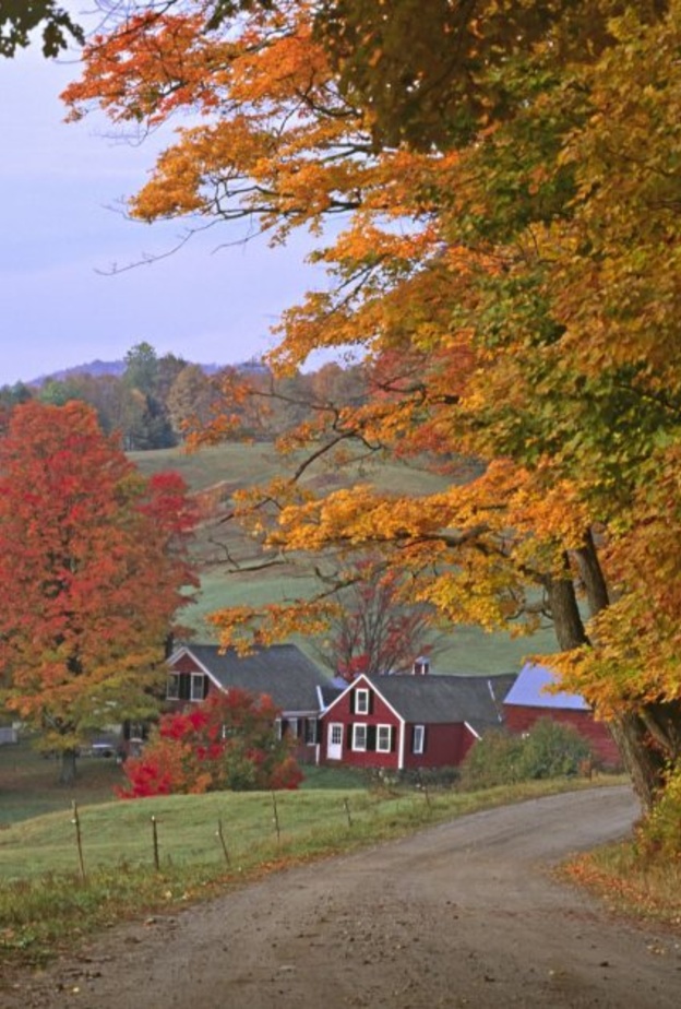  مزرعي جيني في فيرمونت