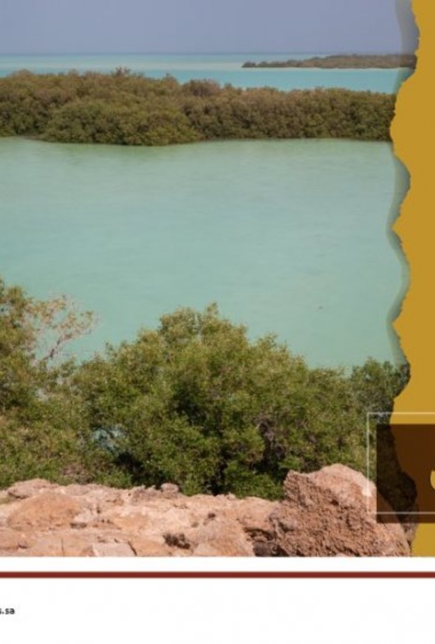 نحن تراثنا تسعى لتسجيل محمية جزر الفرسان كأول محمية طبيعية سعودية في اليونيسكو 