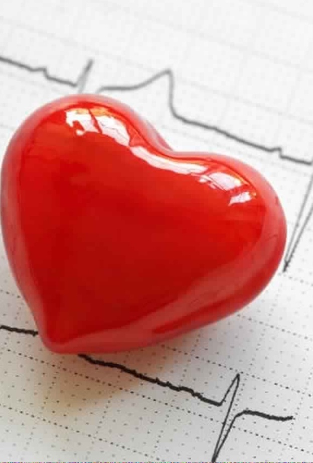 نصائح هامة للحفاظ على صحة القلب ومعدل ضرباته