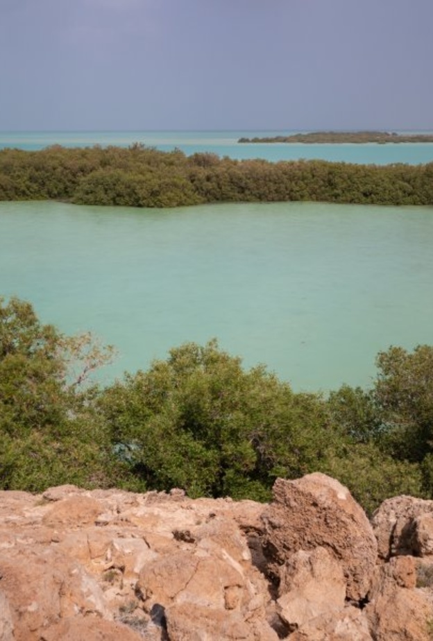 الطبيعة في جزر فرسان