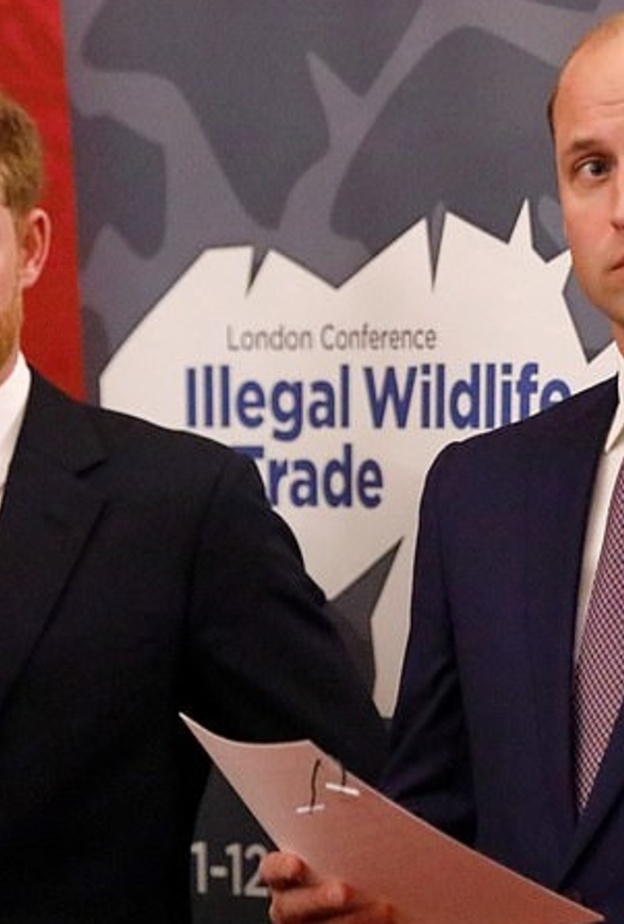 هاري ووليام