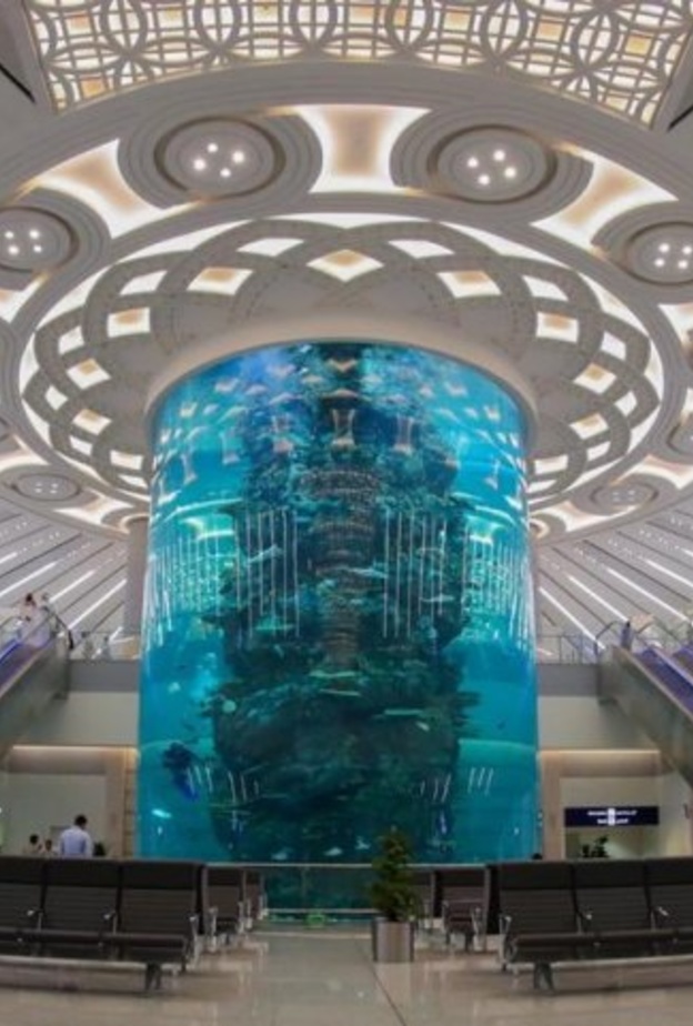  مطار الملك عبدالعزيز يحتضن أكبر حوض أسماك في مطارات العالم 