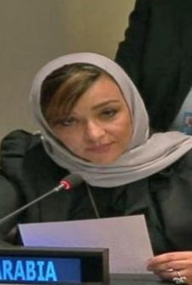  الدكتورة منال رضوان أول سعودية تتحدث باسم المملكة رسمياً في مجلس الأمن