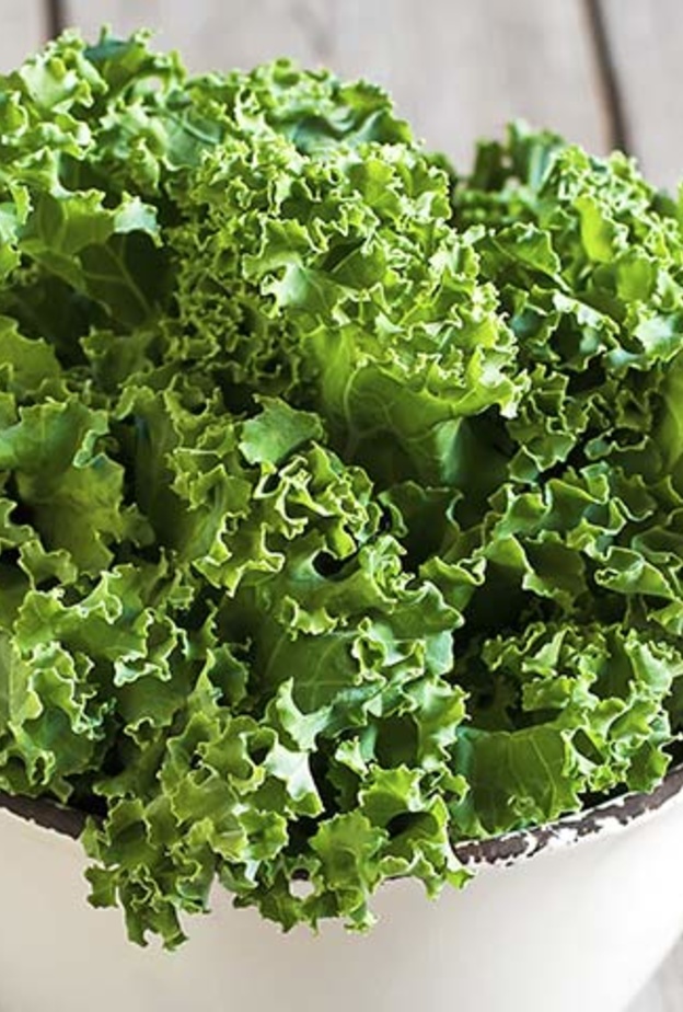 فوائد نبات الكالي الصحية