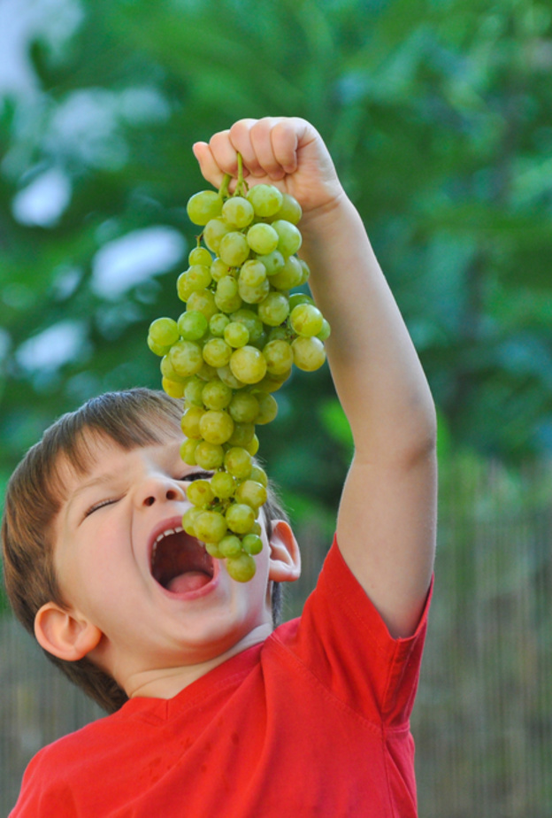 ما هي فوائد العنب الاخضر للاطفال